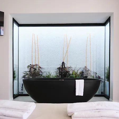 Ashta / Color Block Fethiye