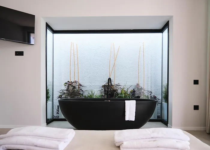 Ashta / Color Block フェティエ