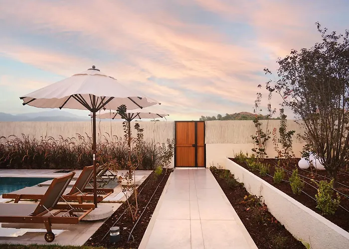 Vila Ashta / Color Block