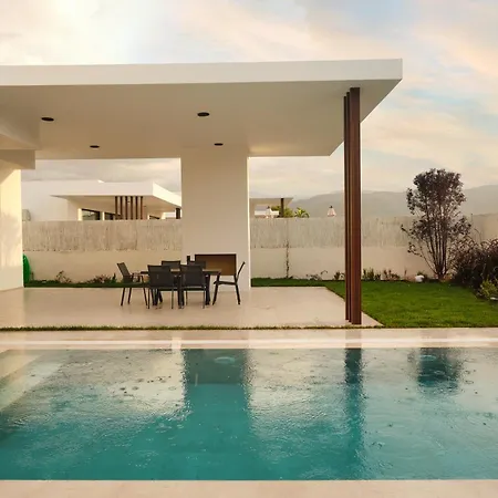 Ashta / Color Block *